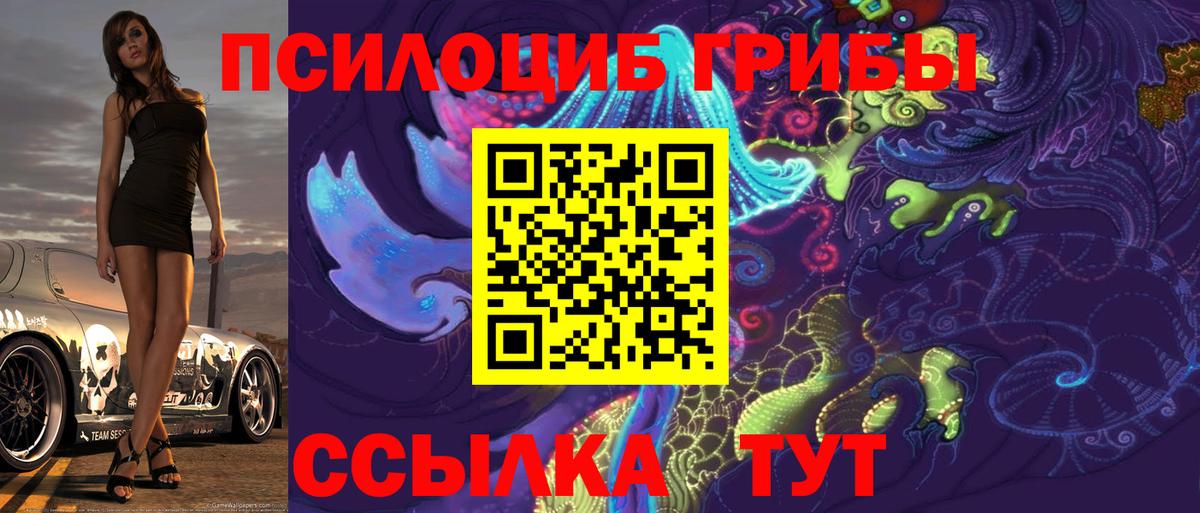 Псилоцибиновые грибы Psilocybe Тавда