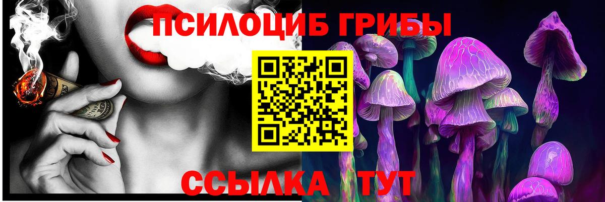 Тавда  Галлюциногенные грибы Psilocybine cubensis  Вход с VPN 