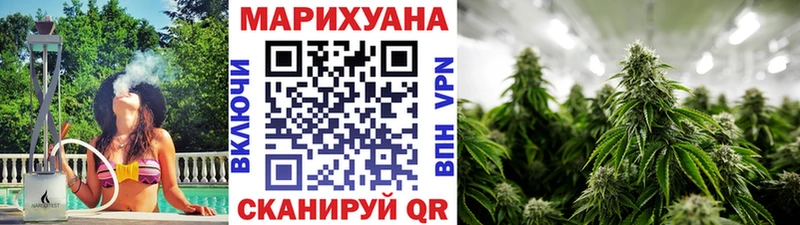Конопля SATIVA & INDICA  Тавда 