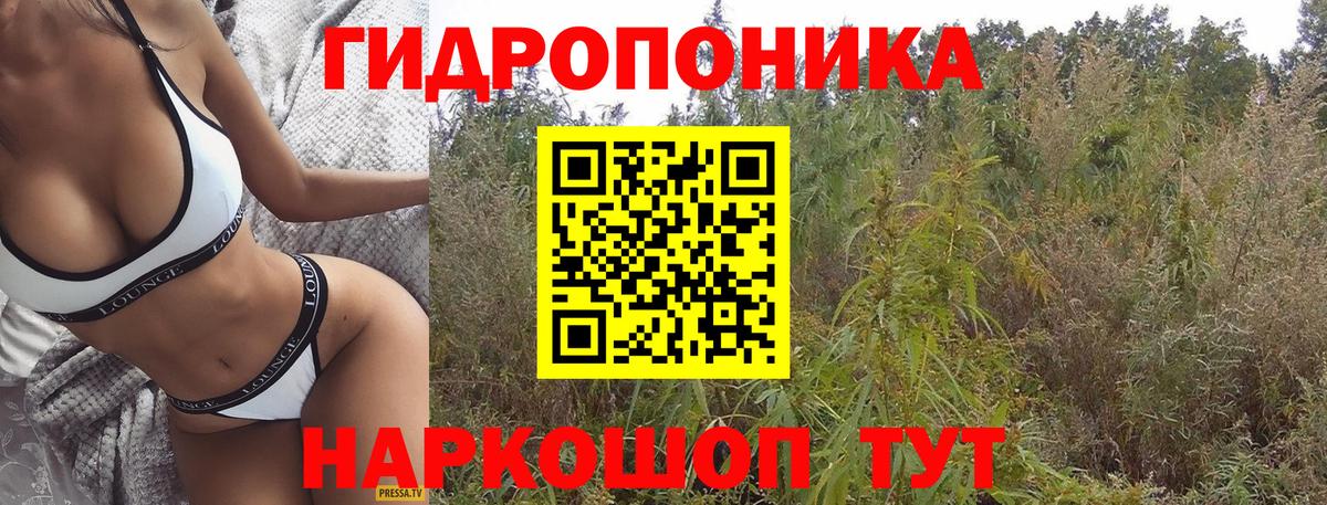 Марихуана LSD WEED  Вход с VPN  Шишки марихуана сатива  Тавда  Шишки марихуана сатива  Канабис сатива 
